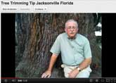 SpecialtyTree_Tip