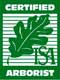 ISA Logo